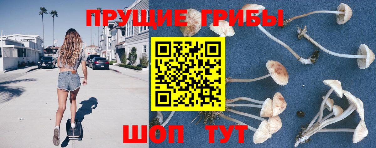 наркошоп  Галлюциногенные грибы Psilocybine cubensis  Вход с VPN  Псков 
